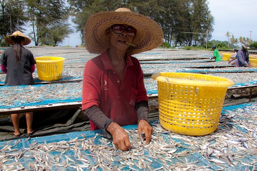 L0720194 - Fishing Activity