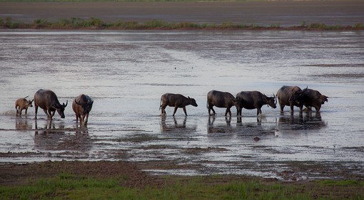 L0805631 - Huai Talat Reservoir