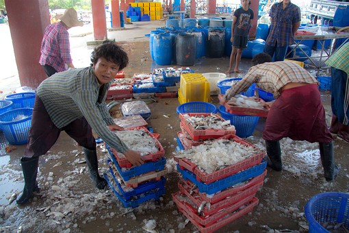 M0806284 - Tam Malang