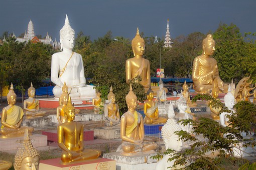 M1230038 - Wat Phai Rong Wua