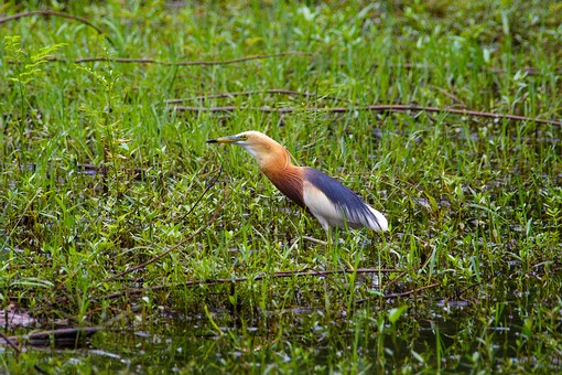 O0728229 - Huai Prue Reservoir