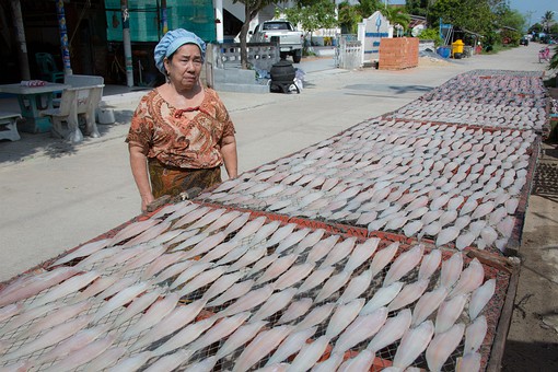 P0817079 - Laem Talumphuk