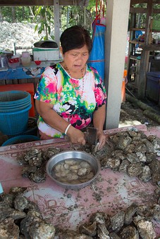 P0820335 - Pak Nam Kadae