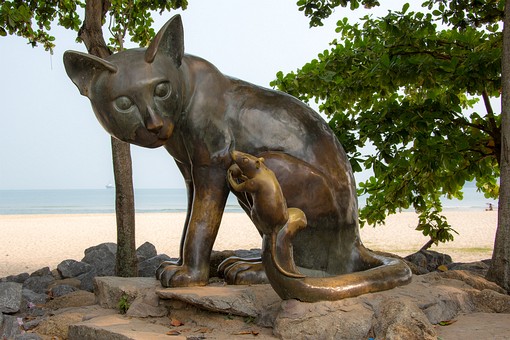 P1011031 - Ko Nu And Ko Maeo