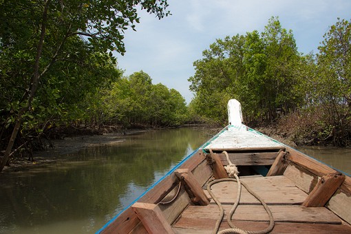 Q0515102 - Tham Lot Puyu