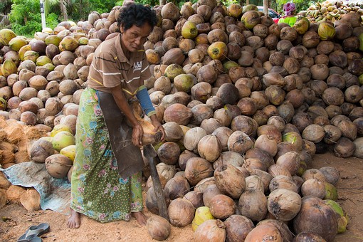 Q0526223 - Coconut Dehusking