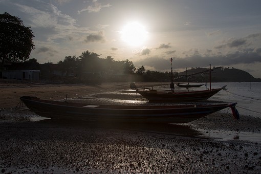 Q0526593 - Hat Pharadonphap