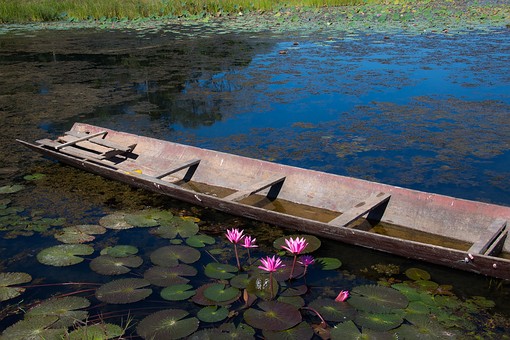 Q1219302 - Nong Kut Thing