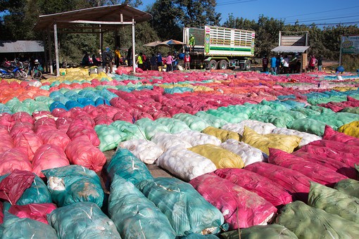 Q1220268 - Rubber Collecting Ce