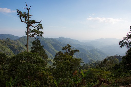 R1218154 - Phu Phaya Po