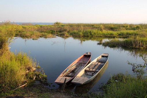 R1221552 - Kwan Phayao