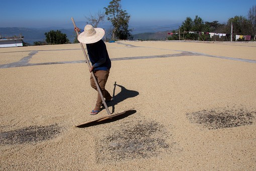 R1223159 - Doi Chang