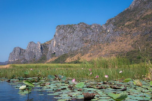 T0311324 - Thung Sam Roi Yot