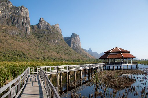 T0311526 - Thung Sam Roi Yot