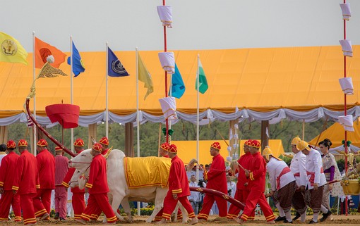 T0509269 - Royal Ploughing Cere