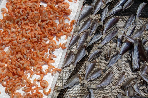 U0223062 - Red Boardwalk Bridge